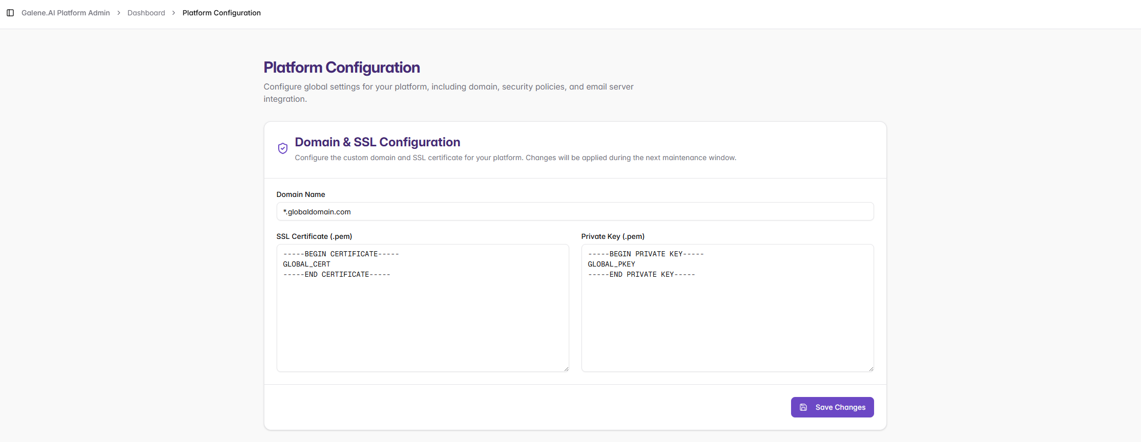 Domain & SSL Configuration Interface