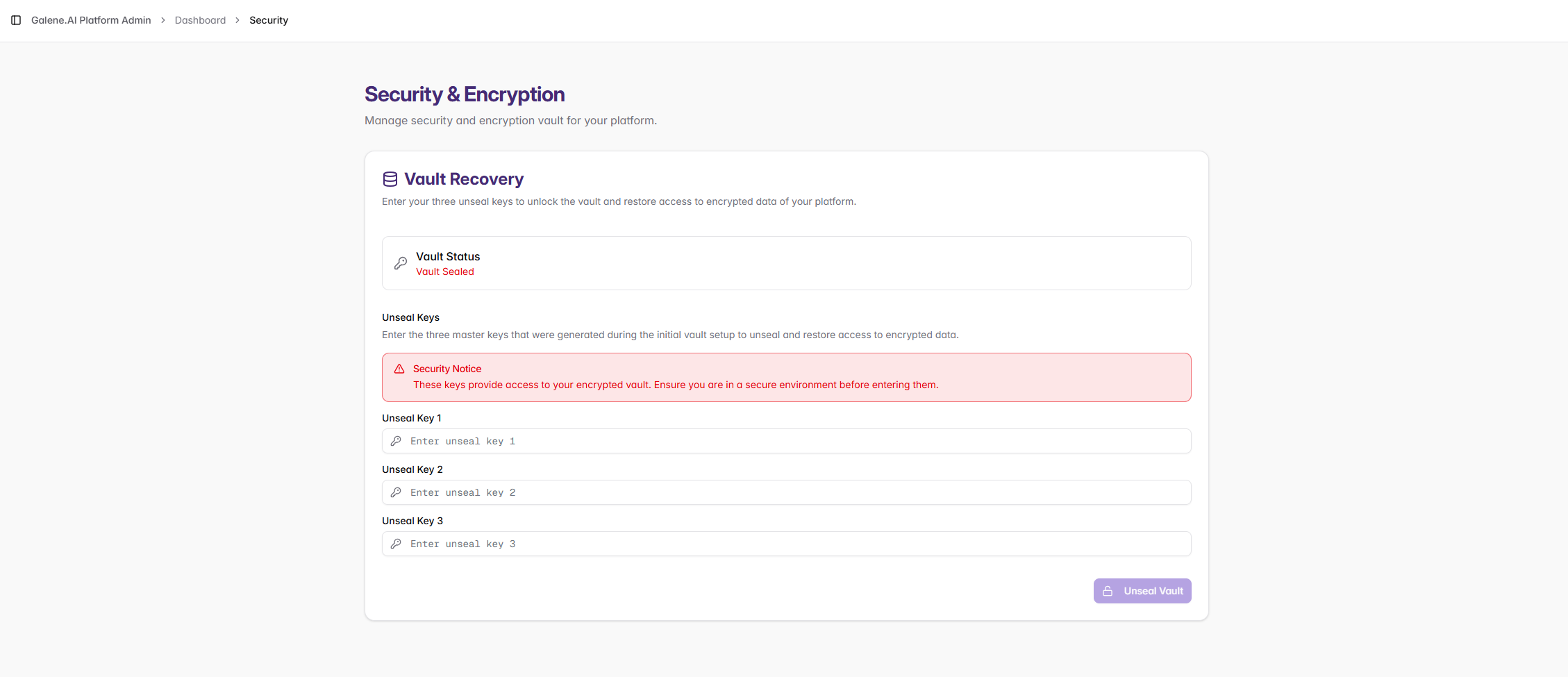 Security & Encryption Interface