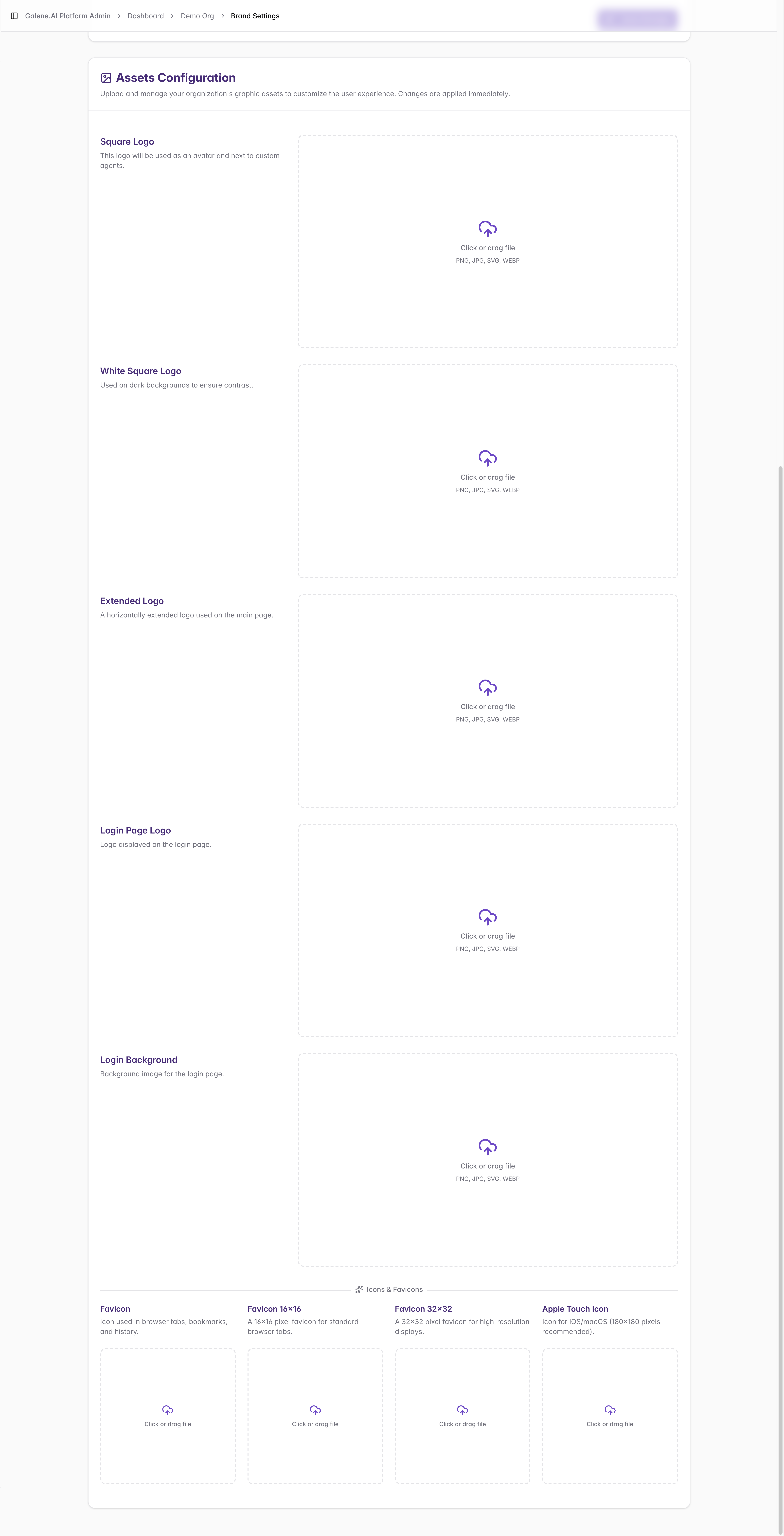 Assets Configuration